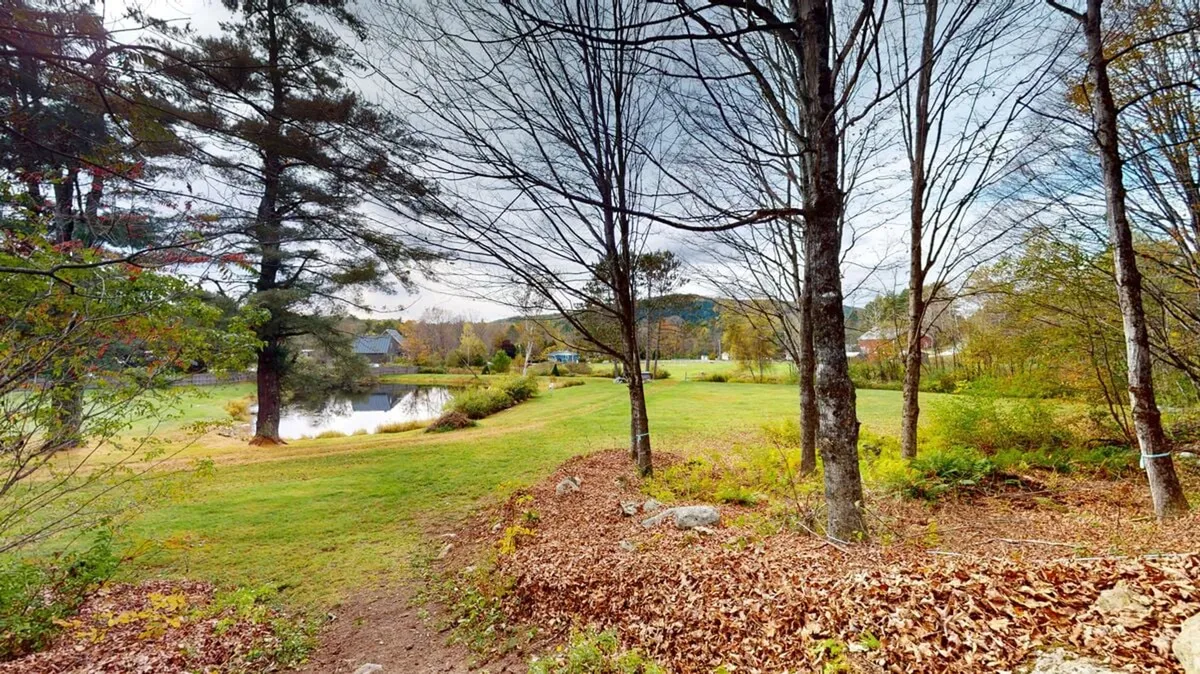 A picturesque vista featuring a calm pond, trees, and a winding pathway, evoking a sense of serenity and connection to nature. The pathway and open space hint at opportunities for wildlife watching, leisurely walks, and quiet contemplation.