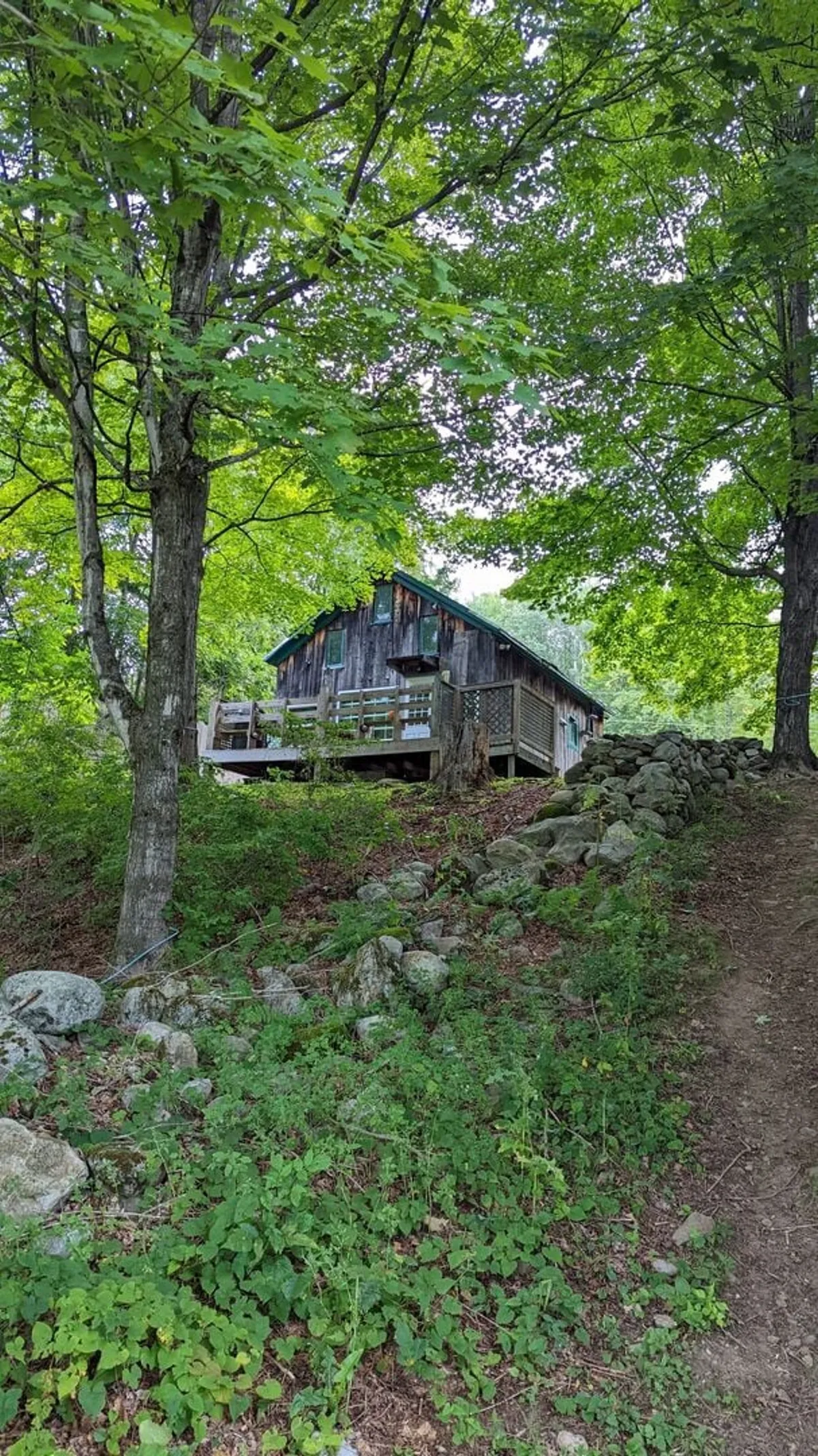 A rustic wooden cabin sits nestled amidst lush greenery, with a stone pathway leading to the entrance and a spacious porch perfect for observing the natural surroundings. The landscape hints at hiking and nature walks, while the cabin itself feels both secluded and inviting.