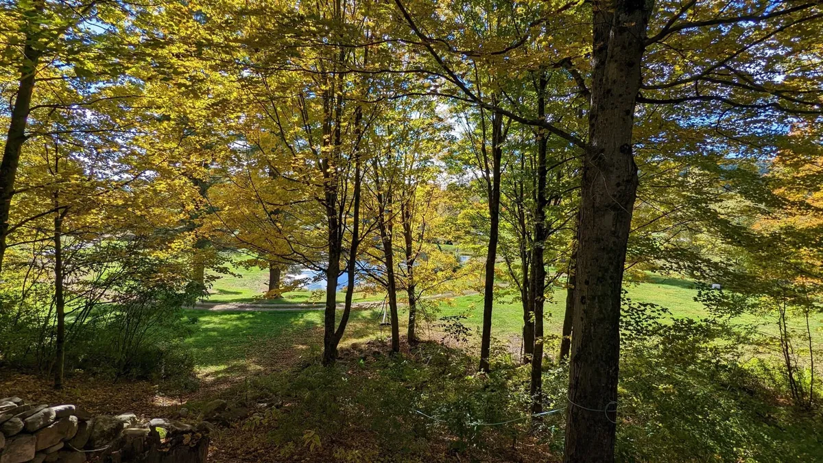 A scenic view featuring vibrant yellow autumn leaves, green grass, and a distant pond. The area is open and peaceful, perfect for nature walks, birdwatching, or quiet reflection. The fall colors highlight Vermont’s famous autumn foliage.